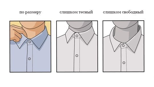 Ворот рубашки