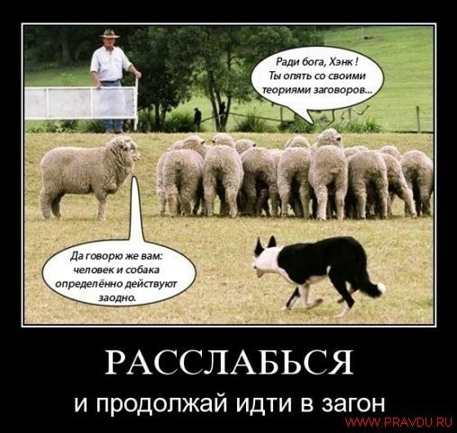 человеко-стада